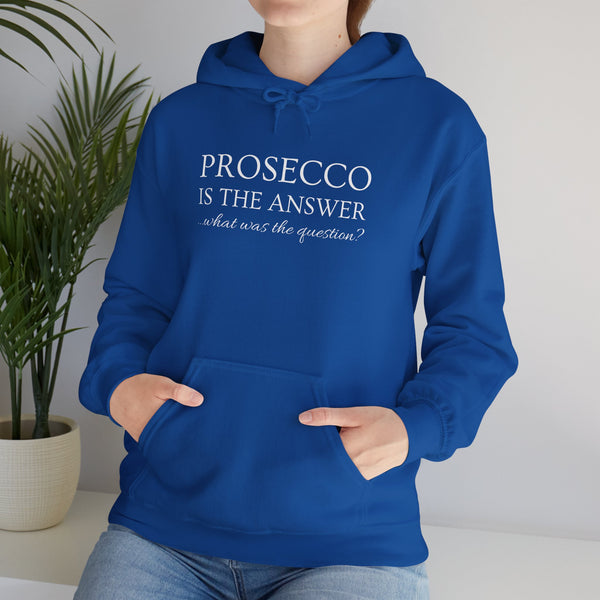 Hoodie for Women, funny saying, Durable Soft Cotton-Poly Blend hoodie with Pocket for All Season, Casual Wear, Ethically Made, Prosecco is the answer Design